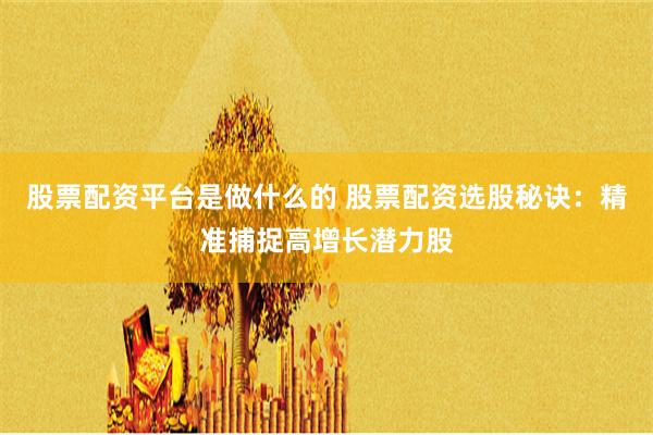 股票配资平台是做什么的 股票配资选股秘诀：精准捕捉高增长潜力股